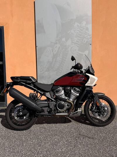 Harley-Davidson Pan America 1250 Special (2020 - 25) usata