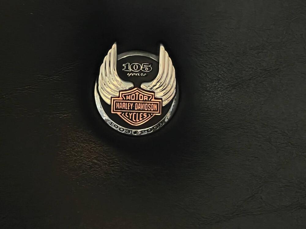 Harley-Davidson 1584 Electra Glide Ultra Classic (2008 - 13) - FLHTCU (17)