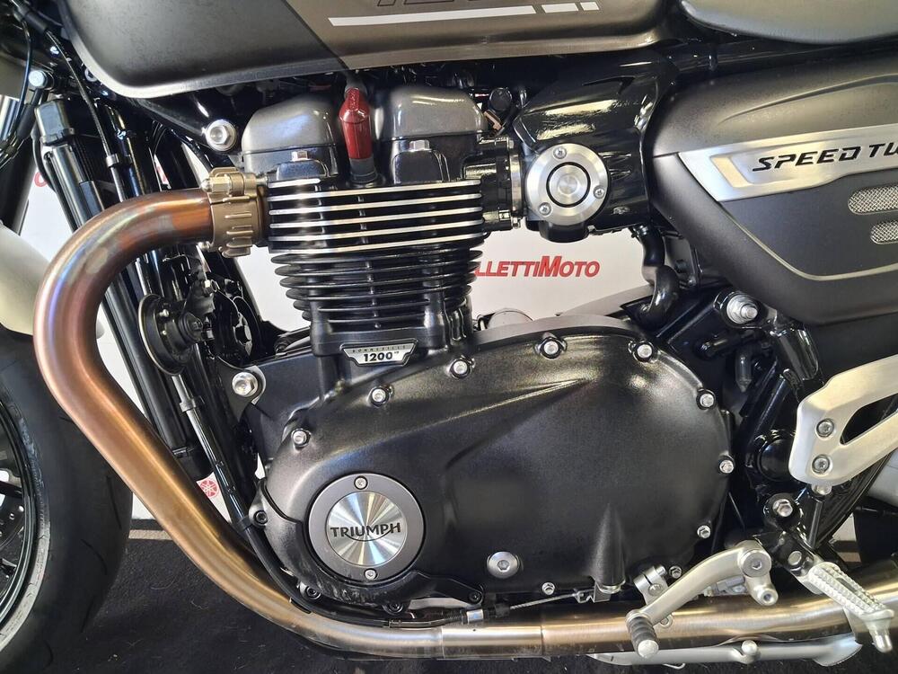 Triumph Speed Twin 1200 (2021 - 24) (2)