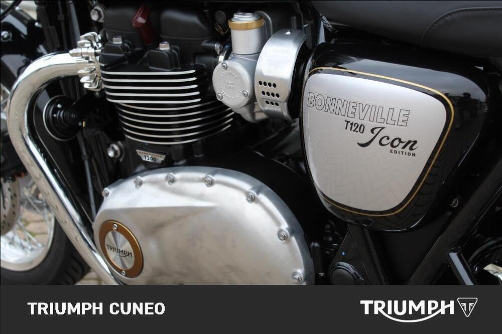 Triumph Bonneville T120 Icon Edition (2025 - 26) (10)