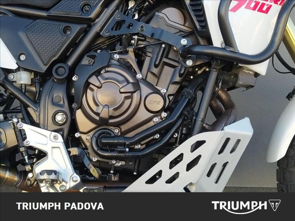 Yamaha Ténéré 700 Rally Edition (2021) (3)