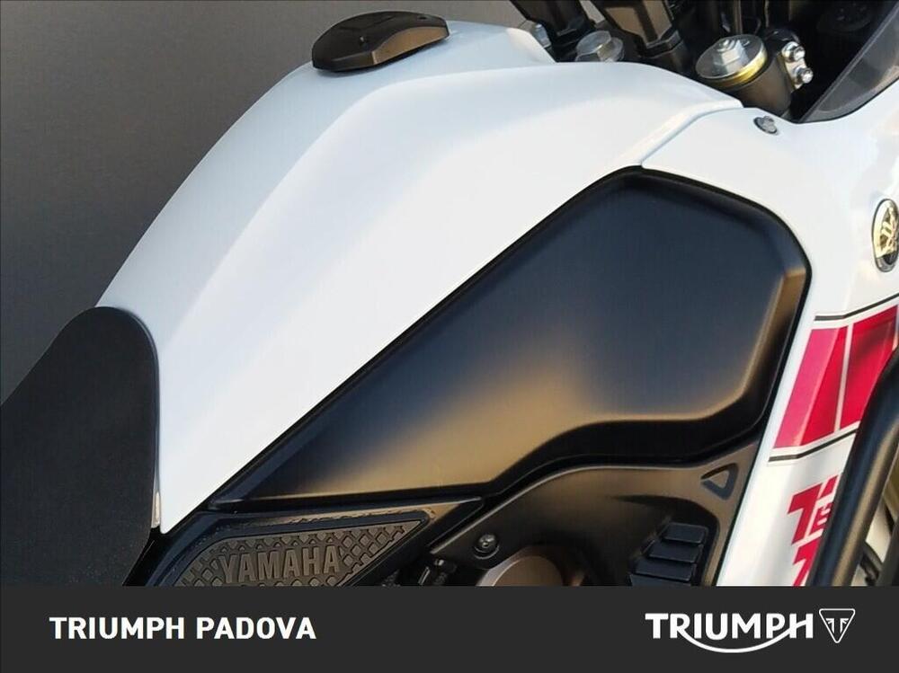 Yamaha Ténéré 700 Rally Edition (2021) (4)