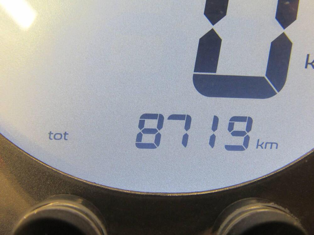 Benelli Leoncino 500 Trail (2021 - 26) (8)