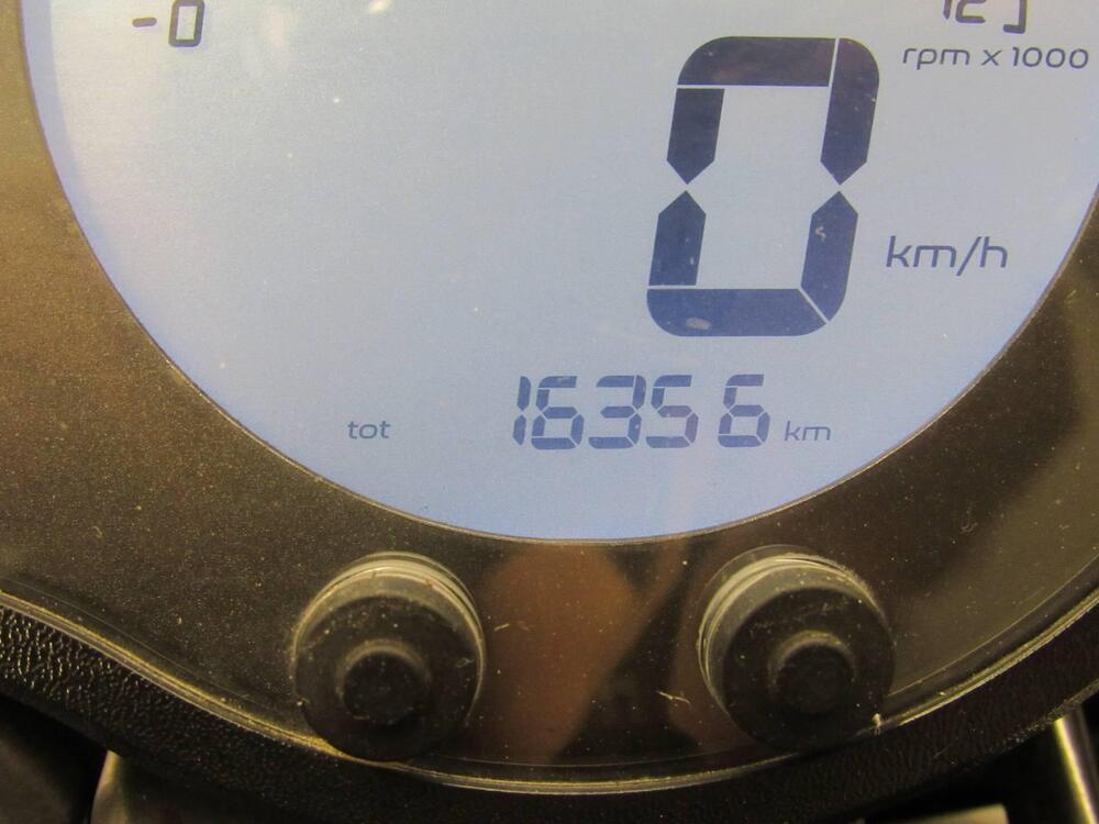 Benelli Leoncino 500 Trail (2021 - 26) (8)