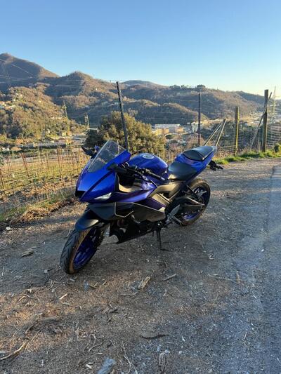 Yamaha YZF R3 (2021 - 24) usata