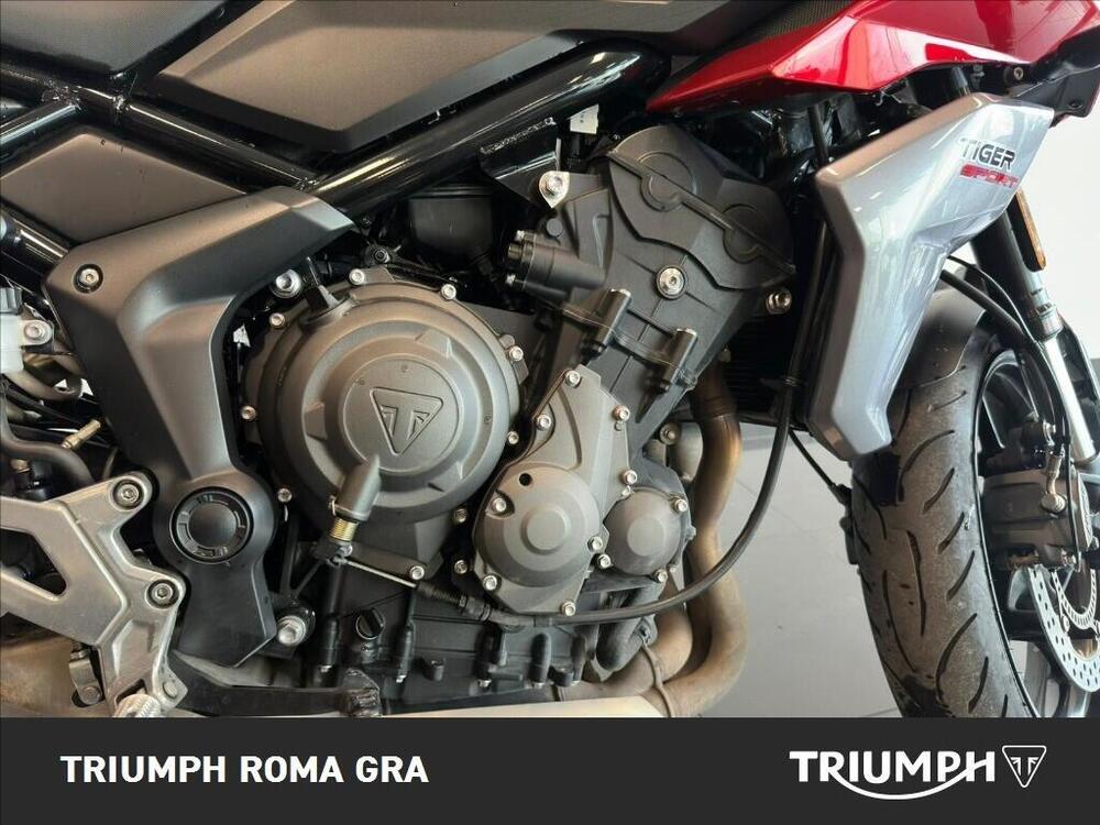 Triumph Tiger Sport 660 (2022 - 24) (12)