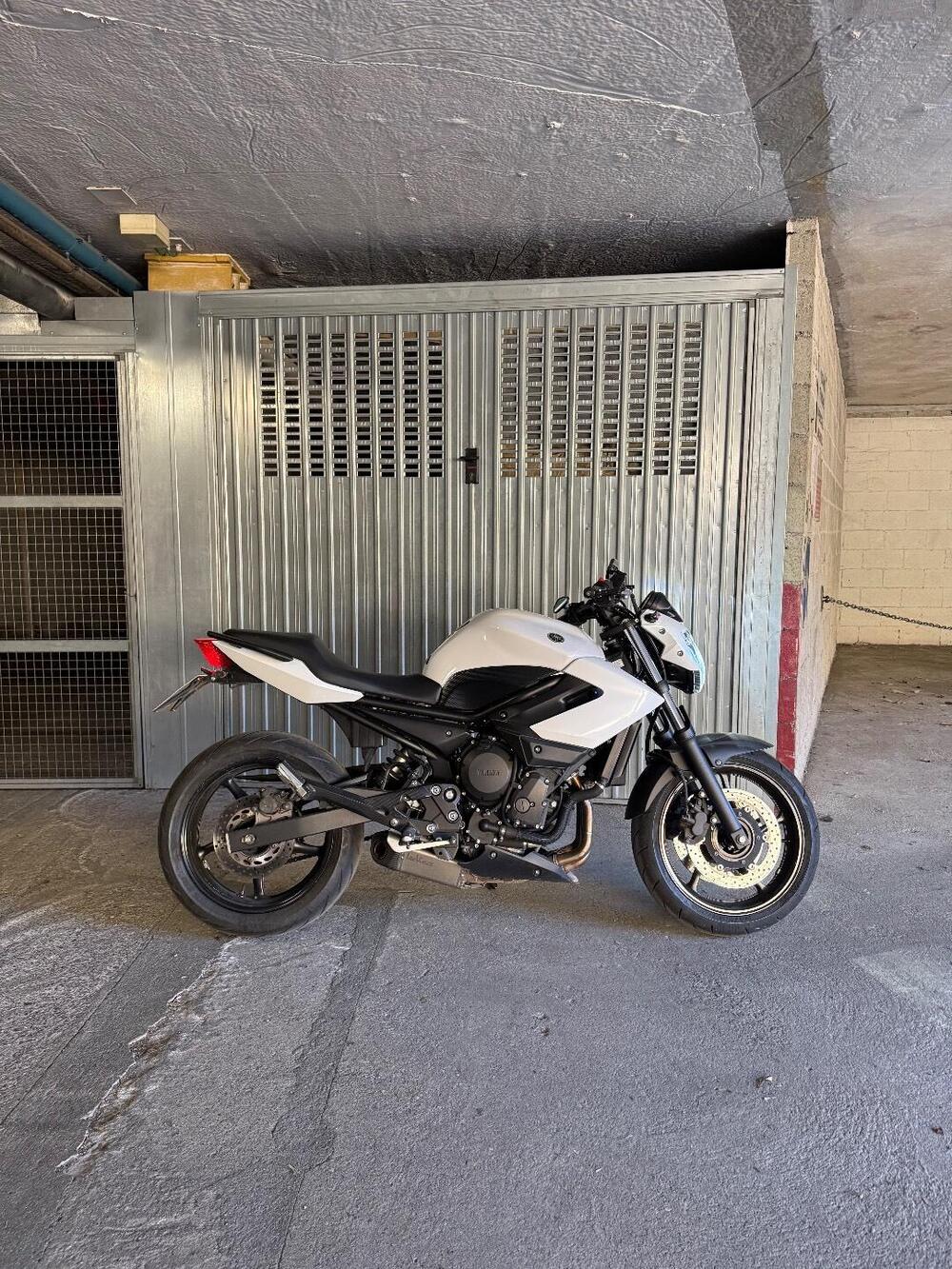 Yamaha XJ6 (2008 - 15)