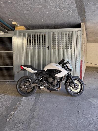 Yamaha XJ6 (2008 - 15) usata