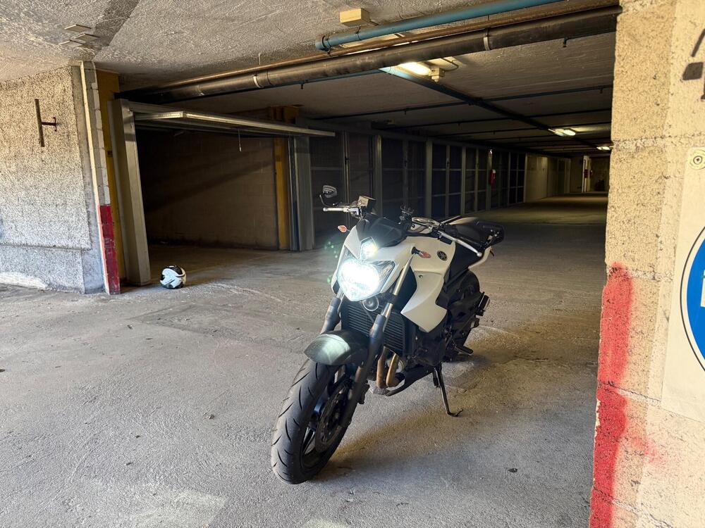 Yamaha XJ6 (2008 - 15) (6)