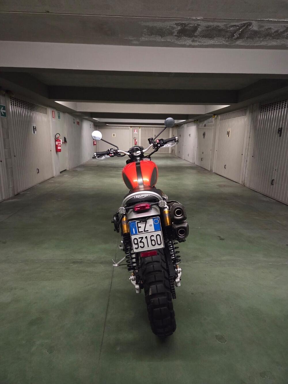 Triumph Scrambler 1200 XE Gold Line Edition (2021 - 22) (4)