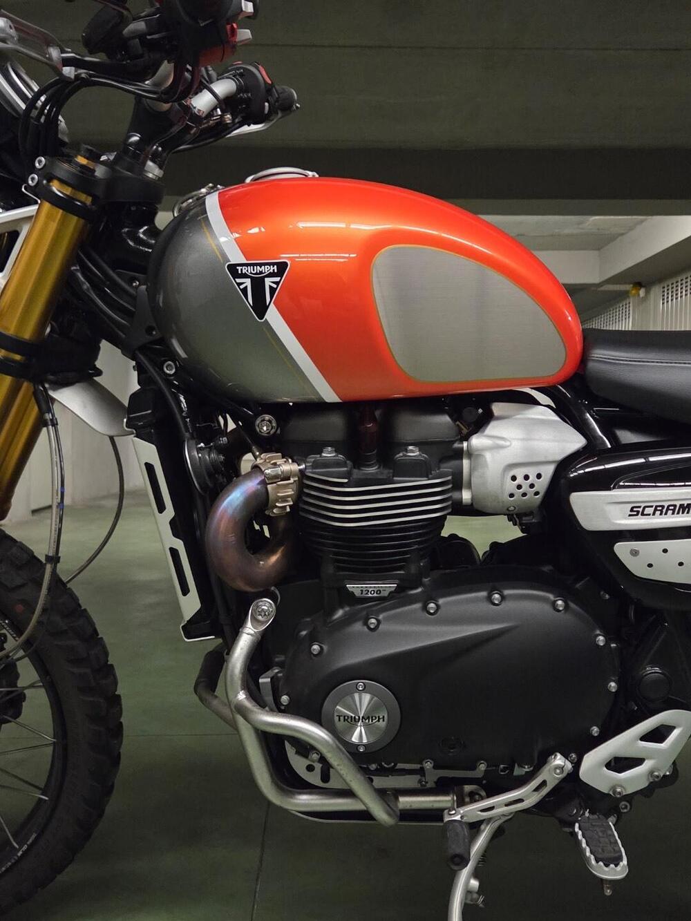 Triumph Scrambler 1200 XE Gold Line Edition (2021 - 22) (7)