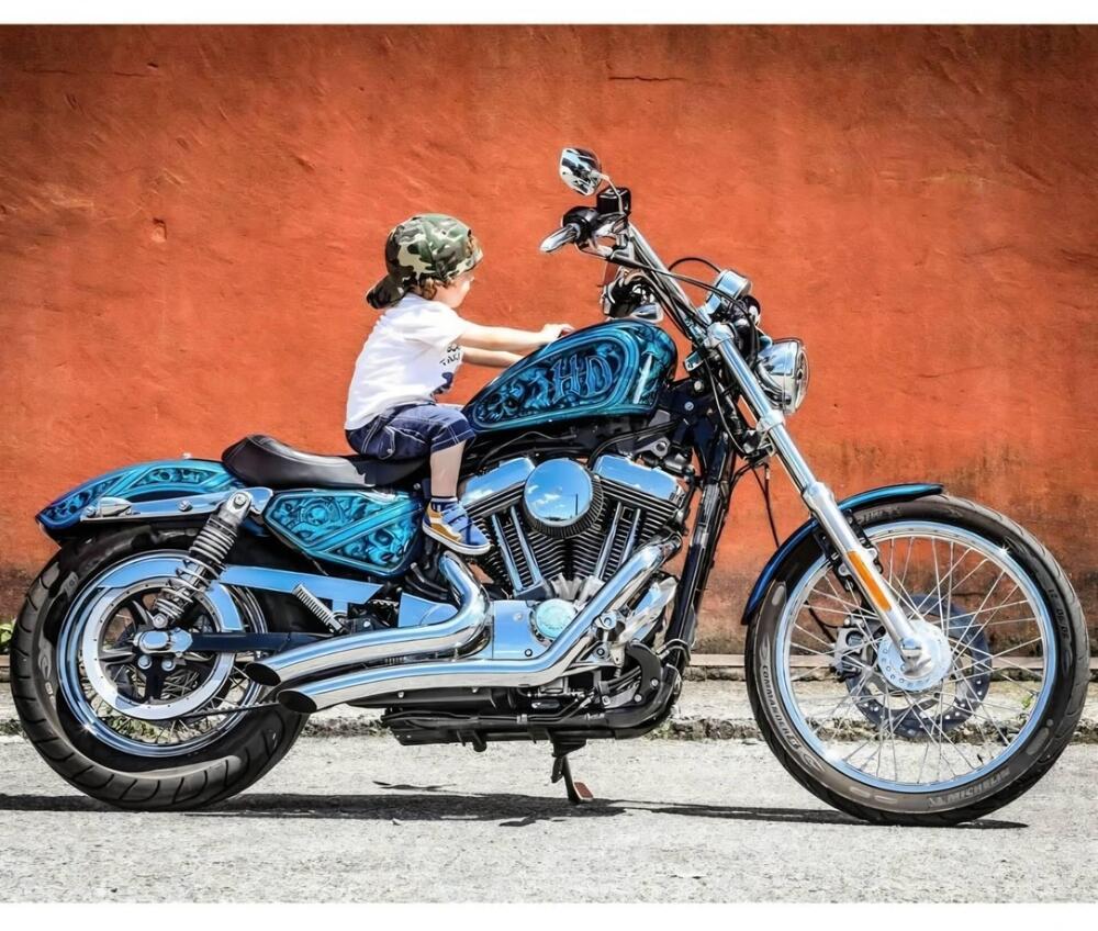 Harley-Davidson 1200 Seventy-Two (2011 - 16) (7)