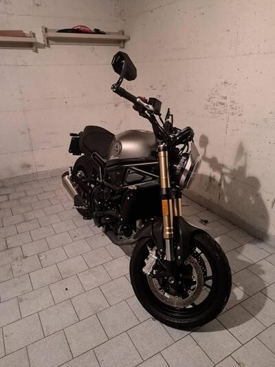 Benelli Leoncino 800 (2022 - 26) usata