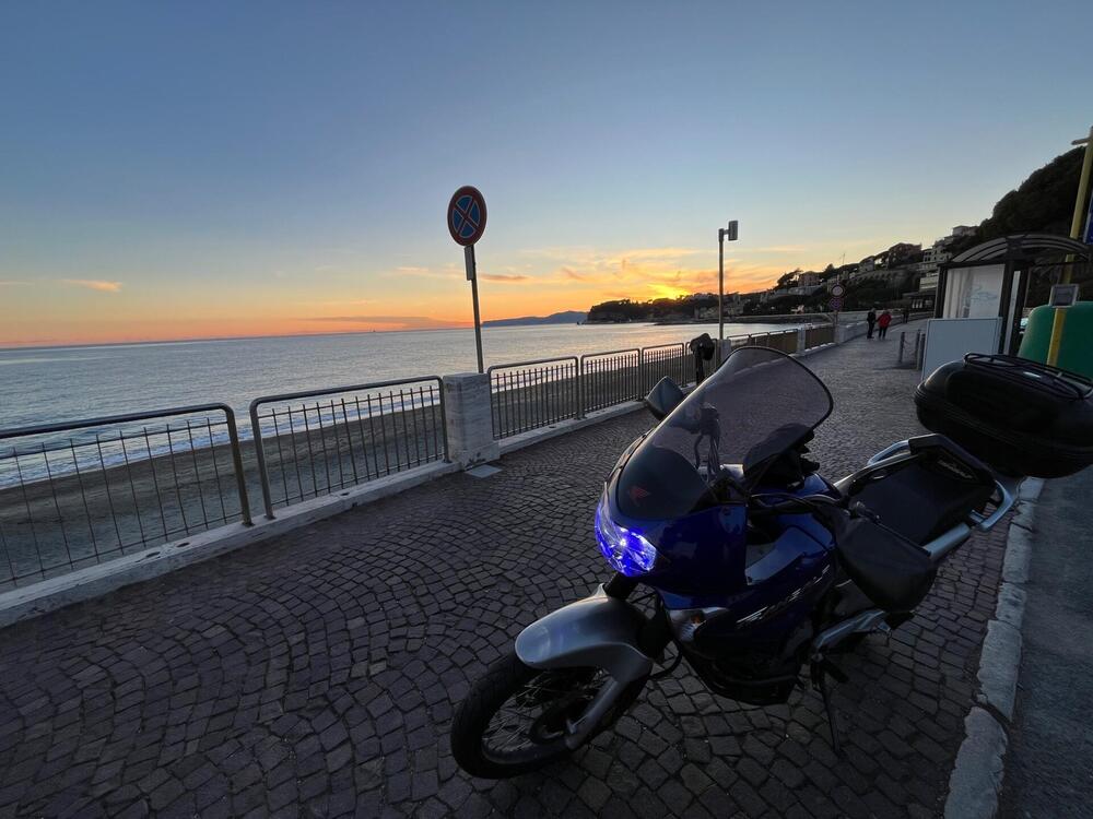 Honda Transalp XL 650V (2005 - 06) (4)