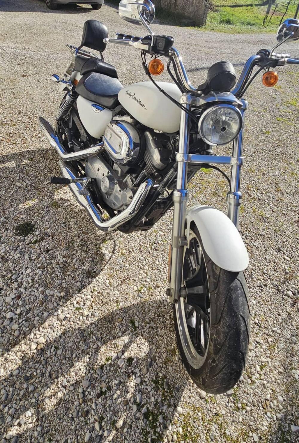Harley-Davidson 883 Custom (2008 - 12) - XL 883C (2)