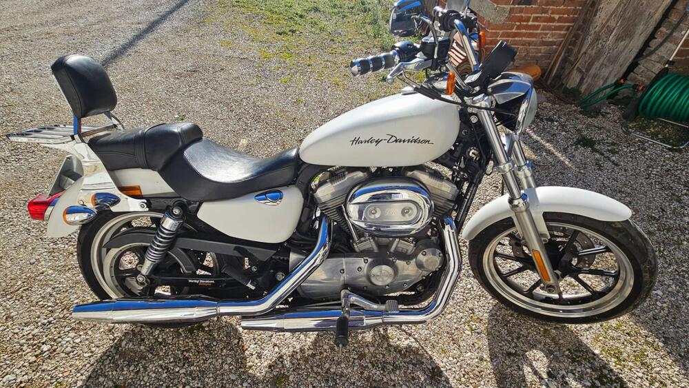 Harley-Davidson 883 Custom (2008 - 12) - XL 883C (4)