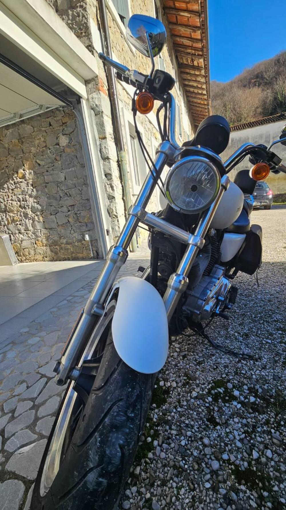 Harley-Davidson 883 Custom (2008 - 12) - XL 883C (5)