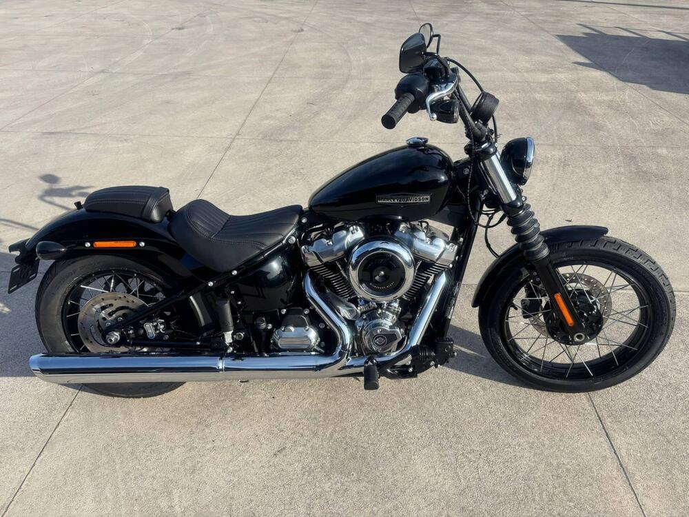 Harley-Davidson Street Bob 117 (2025 - 26)