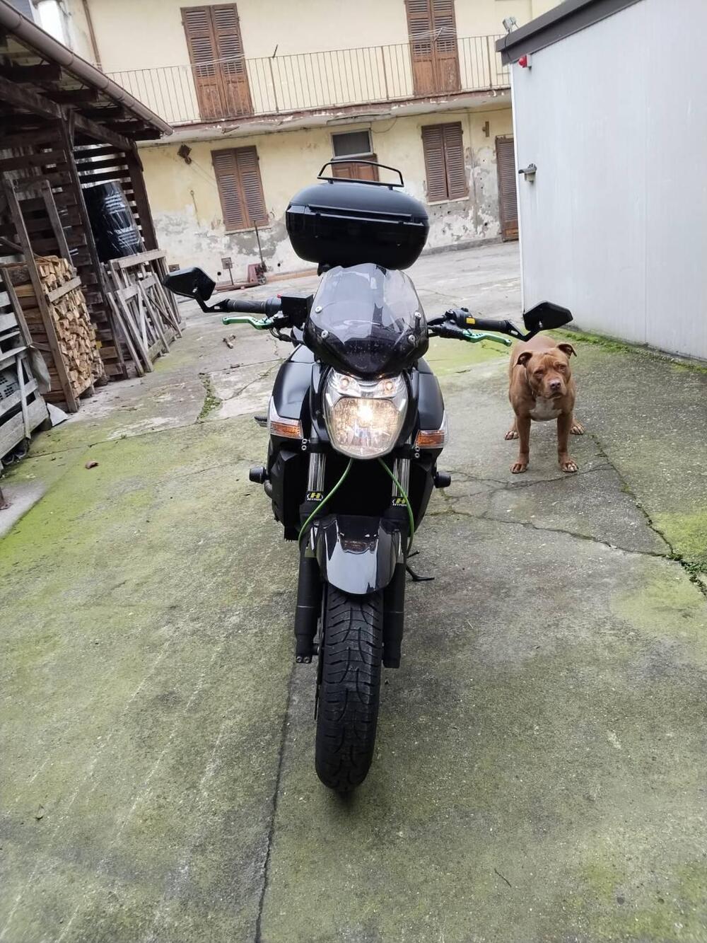 Suzuki GSR 600 (2006 - 11) (3)