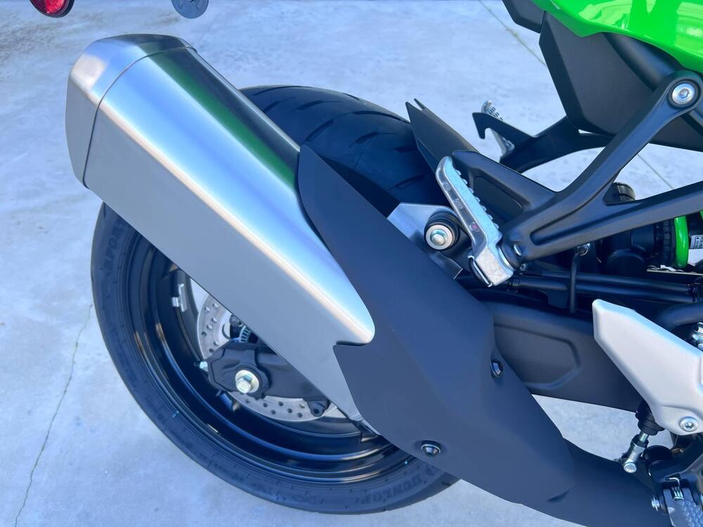 Kawasaki Ninja ZX-4RR (2024 - 26) (7)