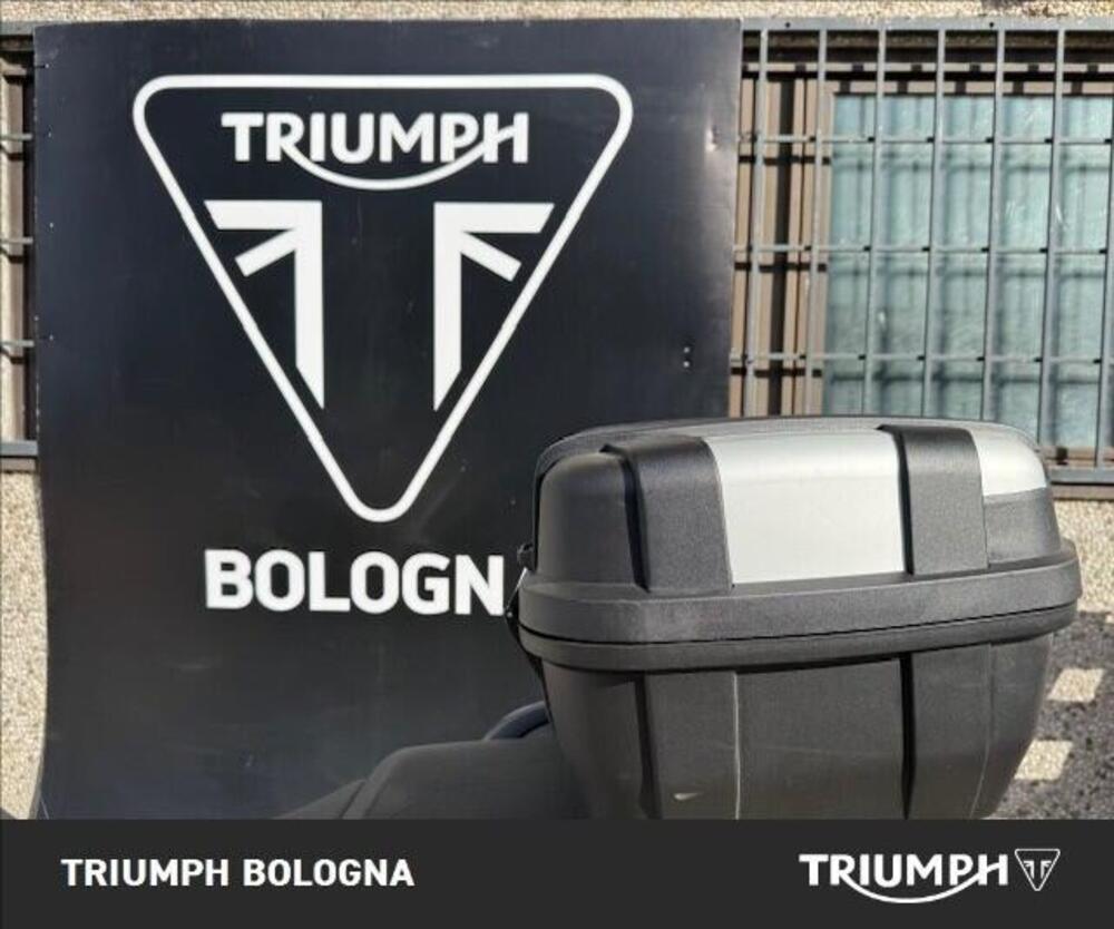 Triumph Tiger 900 GT (2020 - 23) (3)