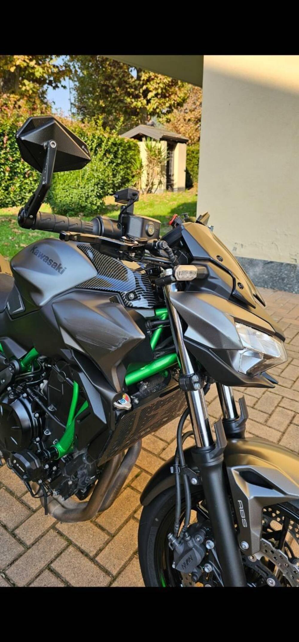 Kawasaki Z 650 (2021 - 24) (6)
