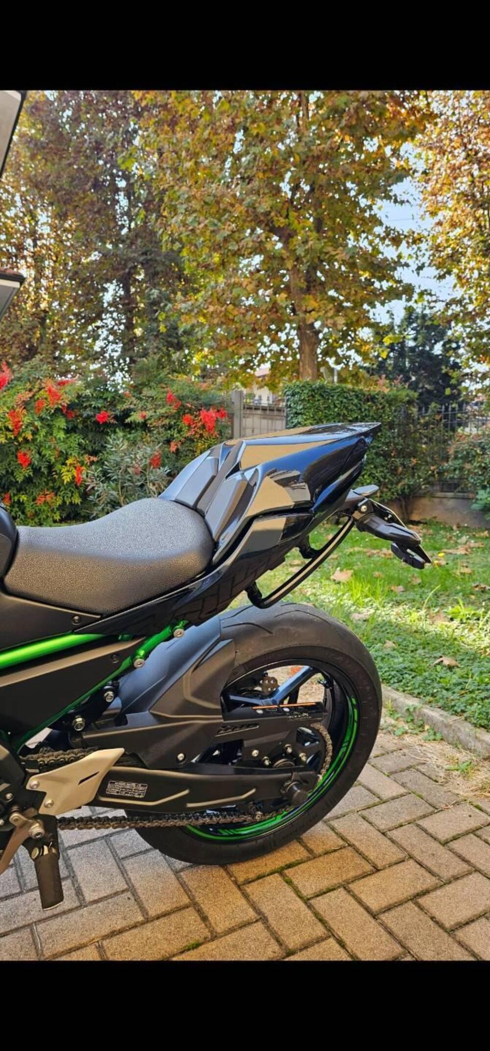 Kawasaki Z 650 (2021 - 24) (5)