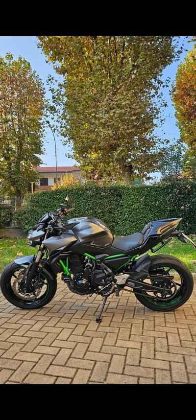 Kawasaki Z 650 (2021 - 24) usata