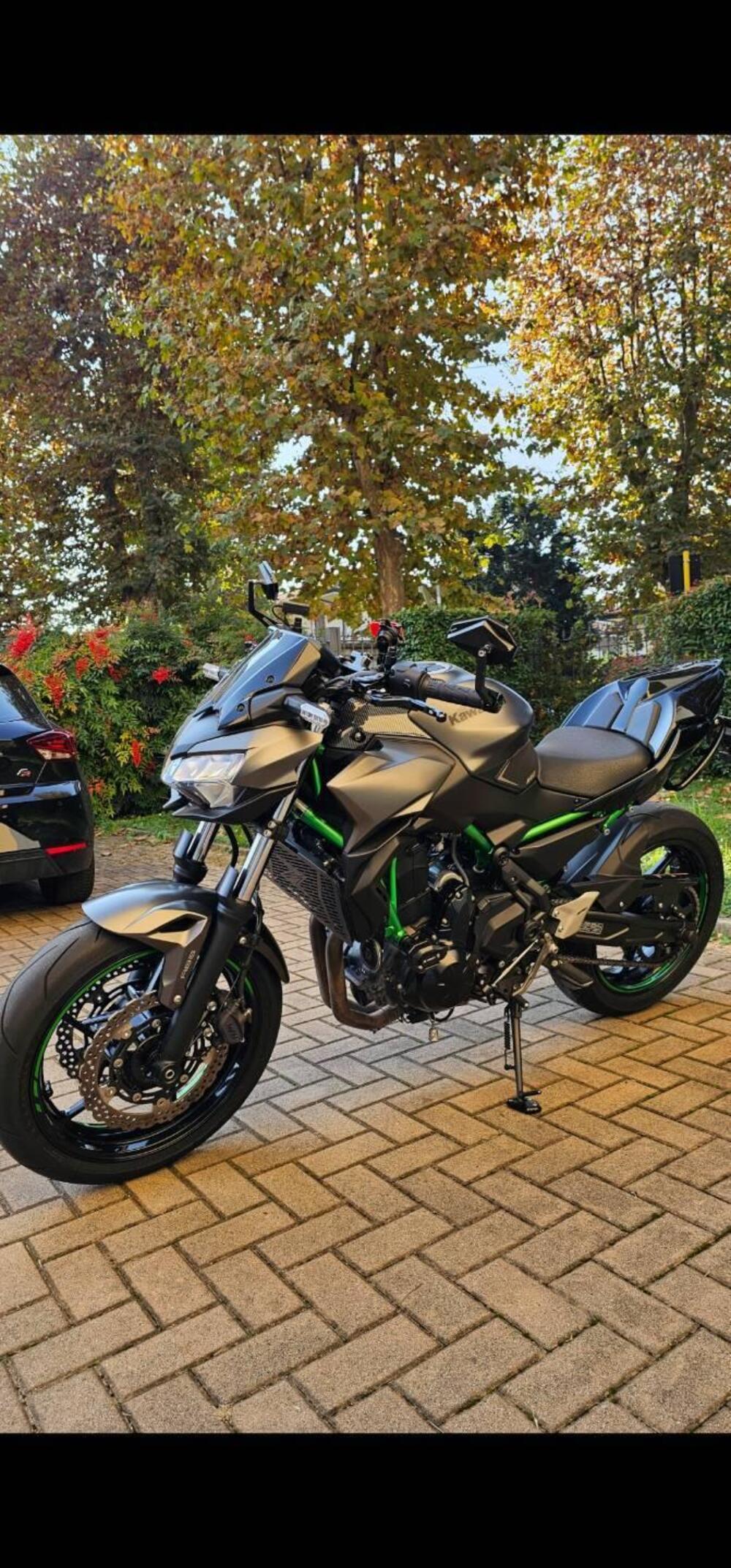 Kawasaki Z 650 (2021 - 24) (2)