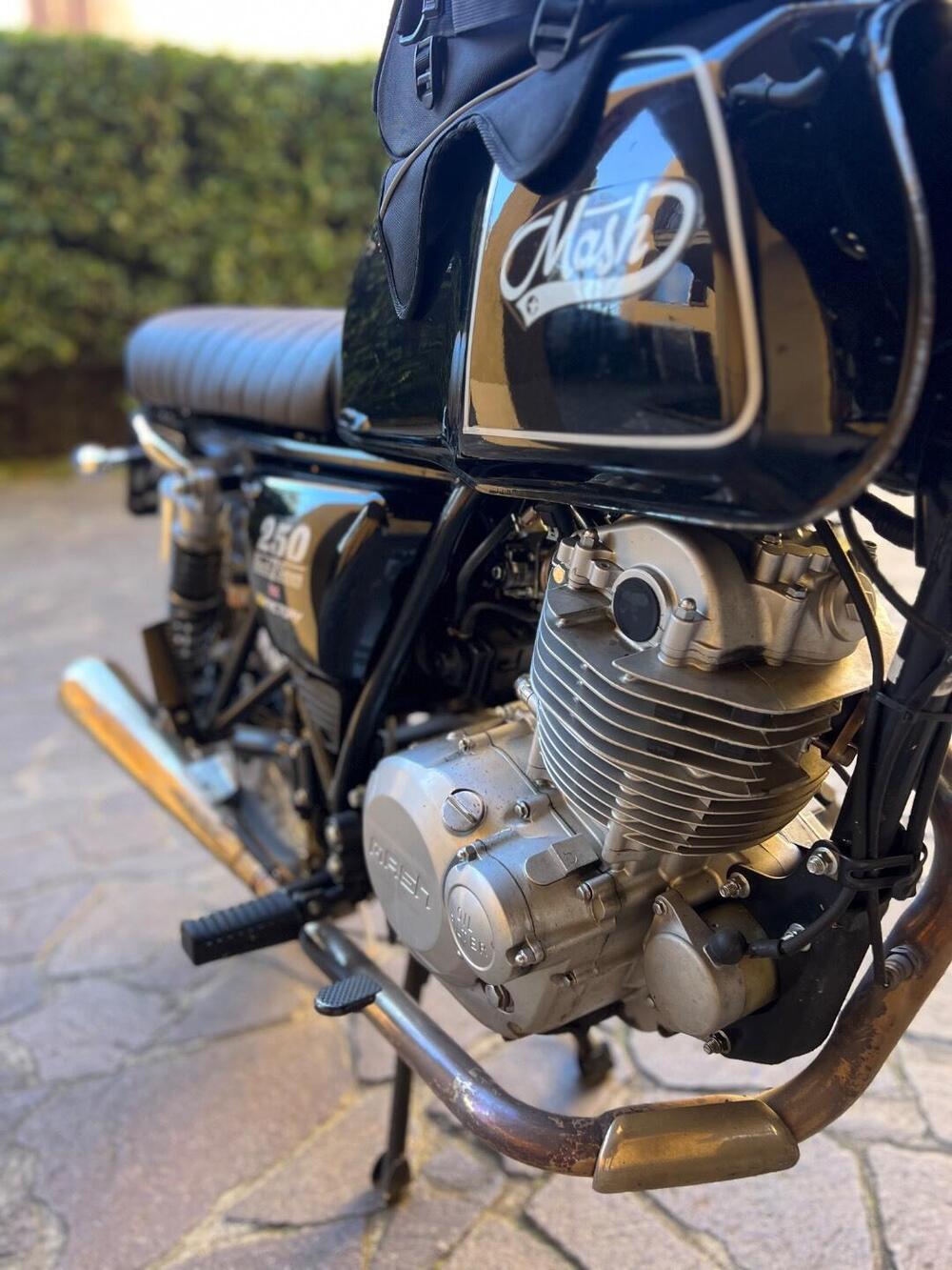 Mash Italia Black Seven 250 (2017 - 20) (8)