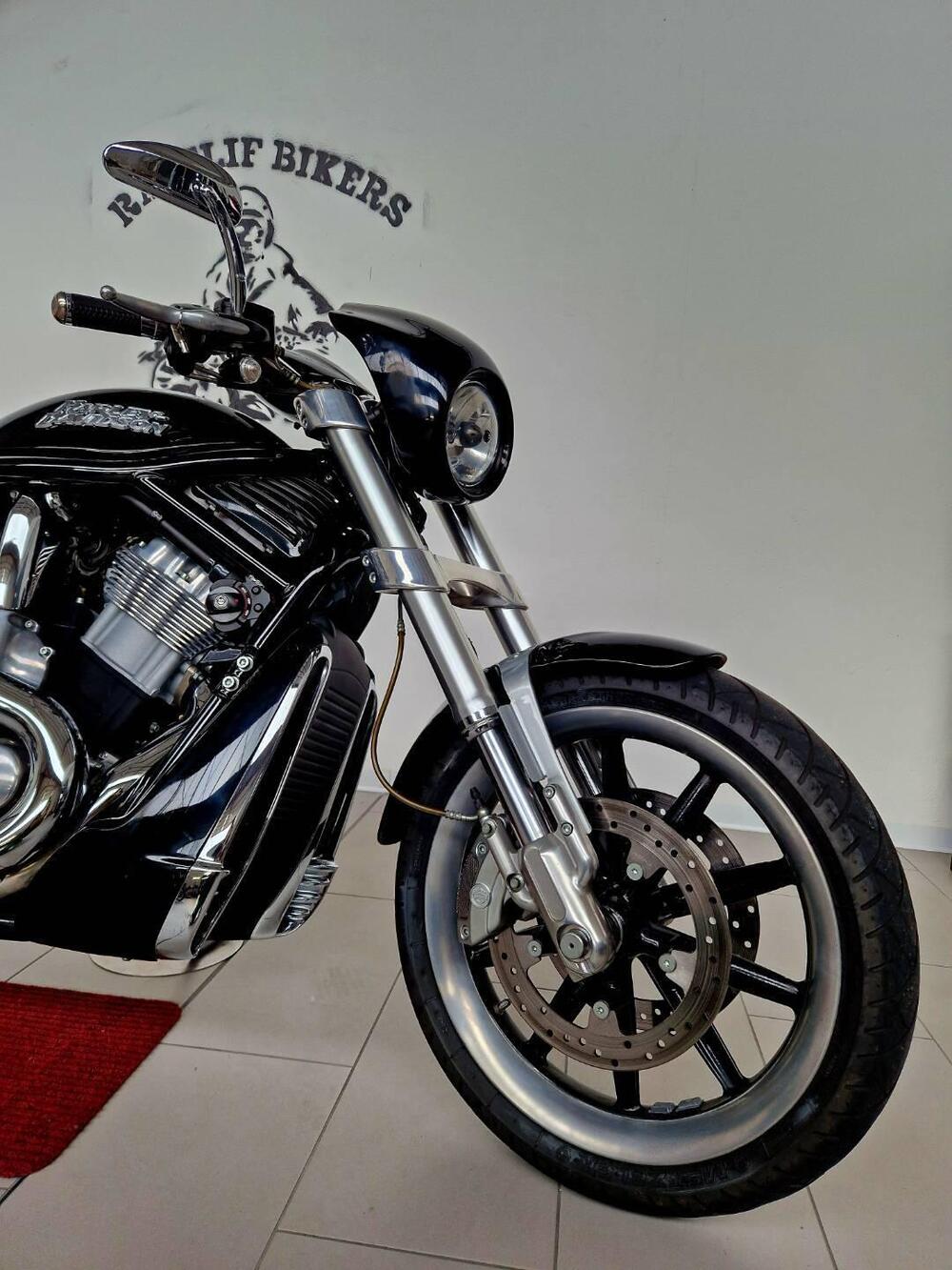 Harley-Davidson 1130 Street Rod (2006 - 07) - VRSCR (11)