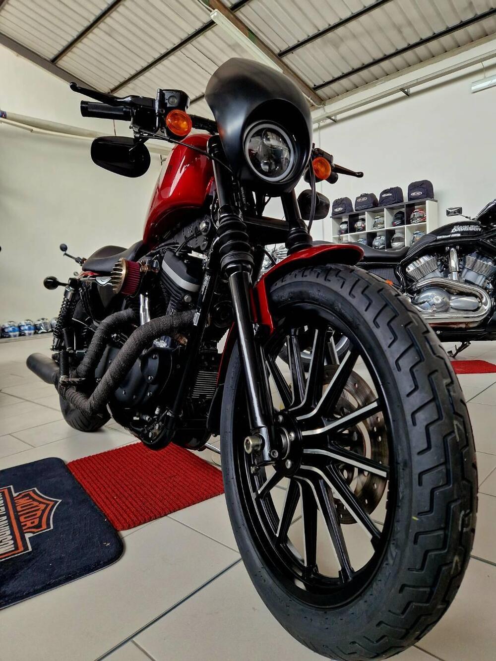 Harley-Davidson 883 Iron (2012 - 14) - XL 883N (7)