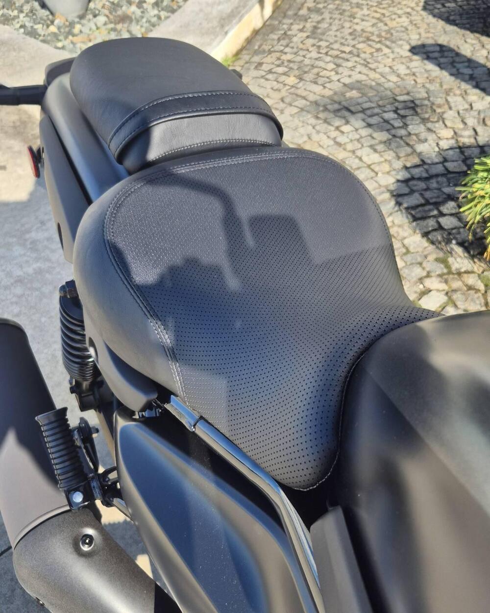 Kawasaki Eliminator 500 SE (2024 - 26) (6)