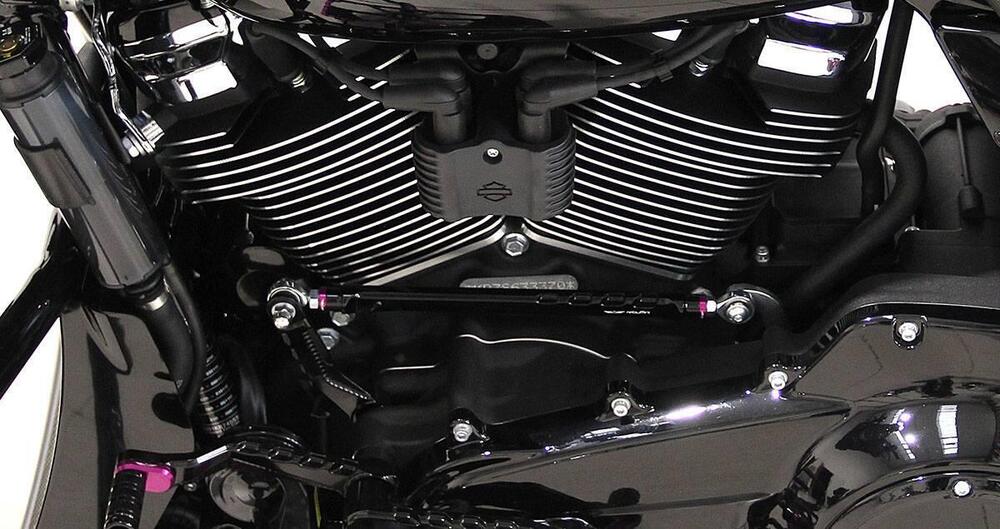 Harley-Davidson Street Glide (2024 - 26) (14)