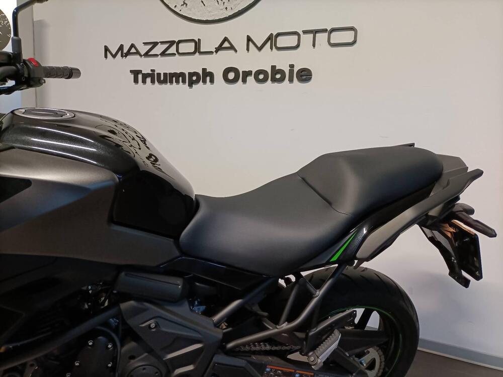 Kawasaki Versys 650 (2025 - 26) (11)