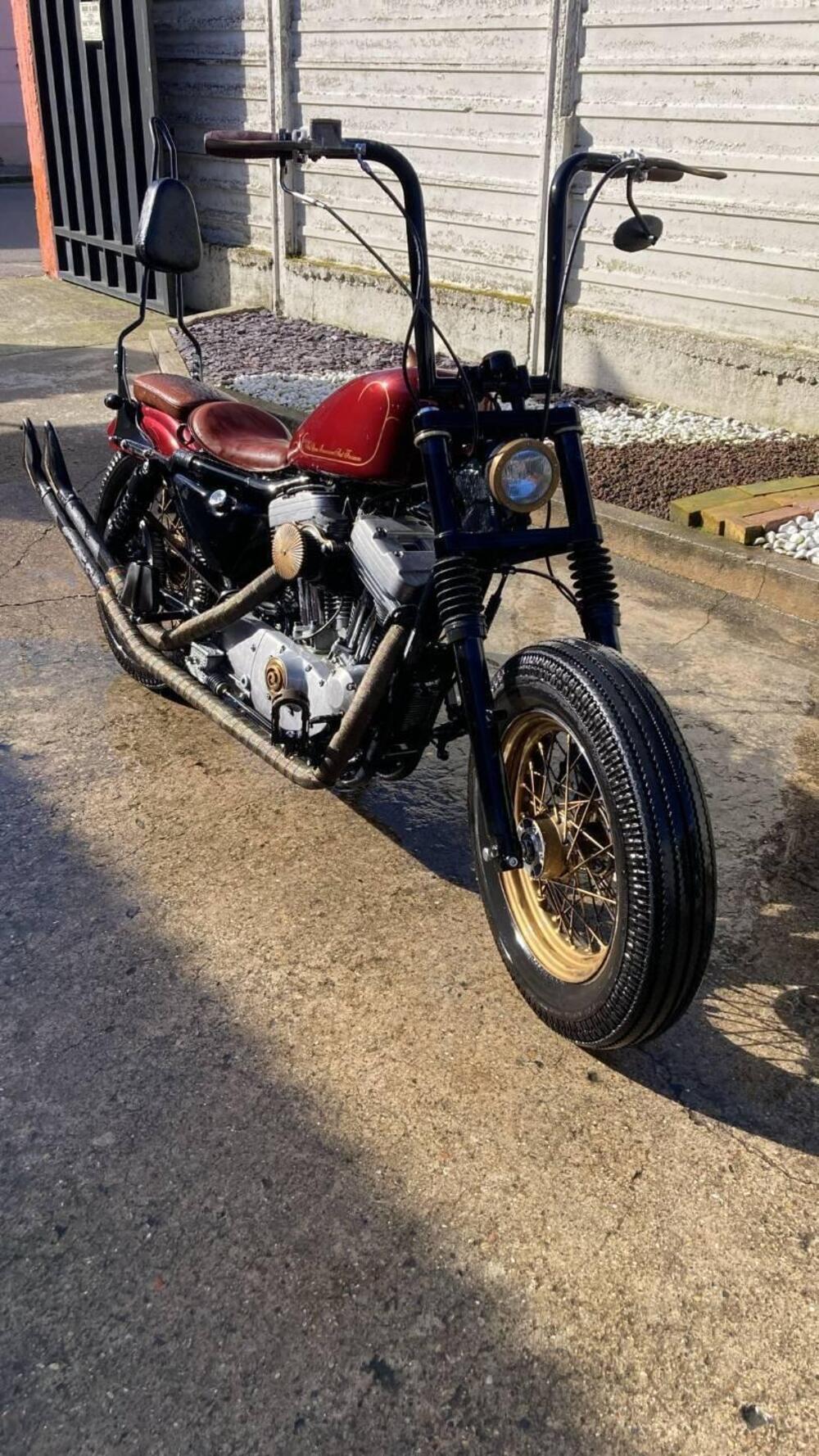 Harley-Davidson 883 Standard (2001 - 05) - XL 883 (2)