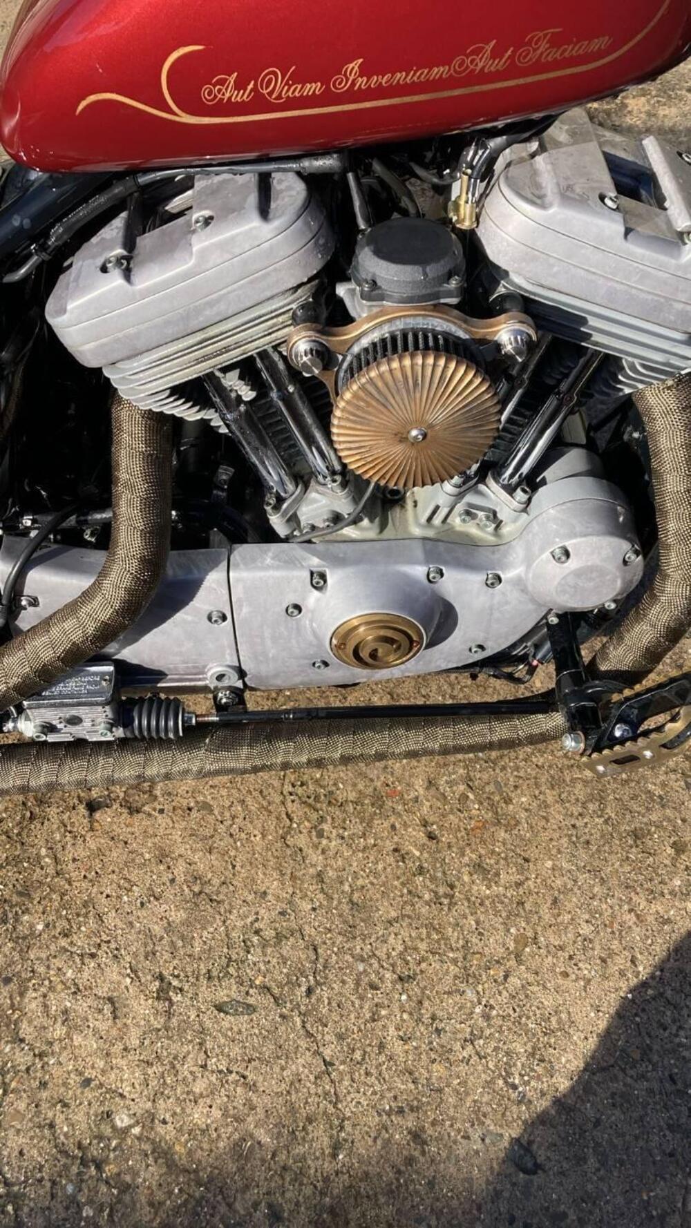 Harley-Davidson 883 Standard (2001 - 05) - XL 883 (3)