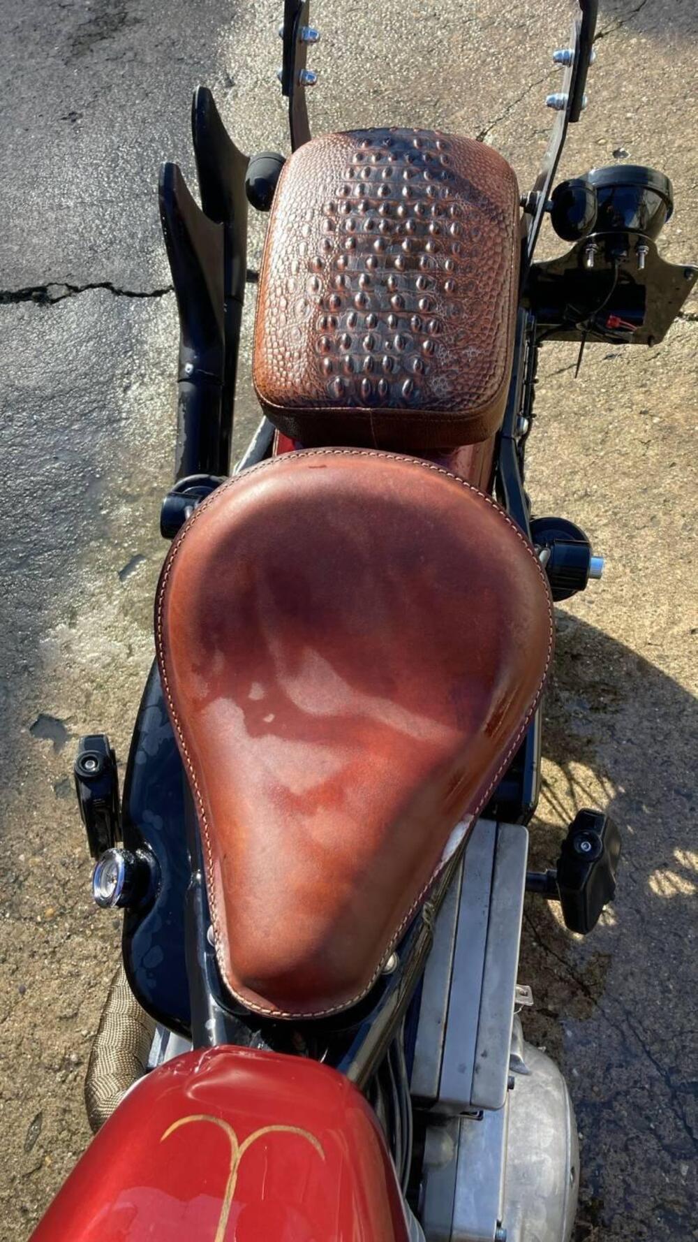 Harley-Davidson 883 Standard (2001 - 05) - XL 883 (4)