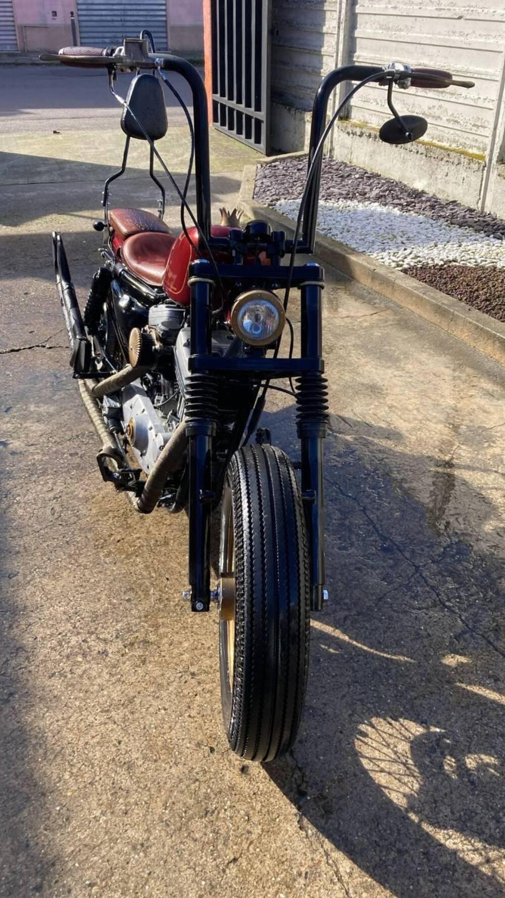 Harley-Davidson 883 Standard (2001 - 05) - XL 883 (5)