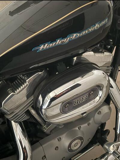 Harley-Davidson 883 Low (2006 - 07) - XL 883L usata