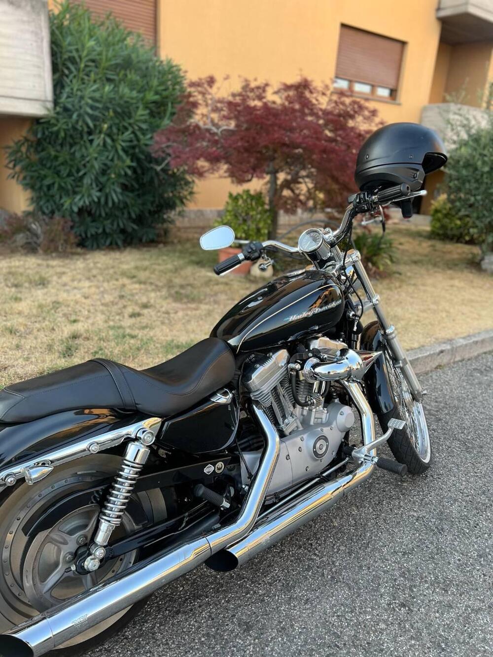 Harley-Davidson 883 Low (2006 - 07) - XL 883L (2)