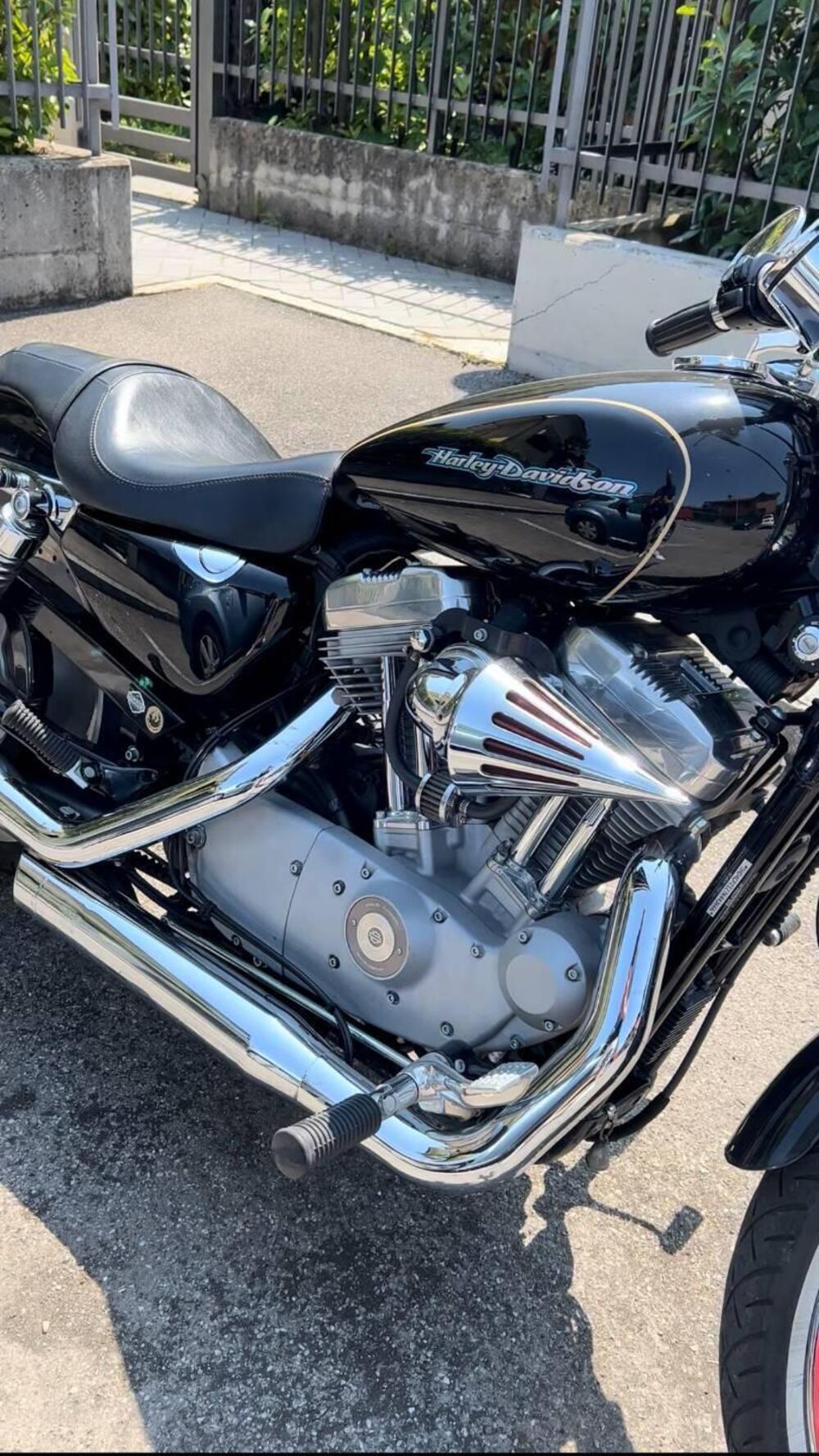 Harley-Davidson 883 Low (2006 - 07) - XL 883L (5)