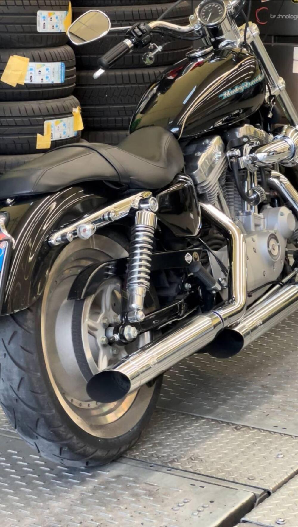 Harley-Davidson 883 Low (2006 - 07) - XL 883L (6)