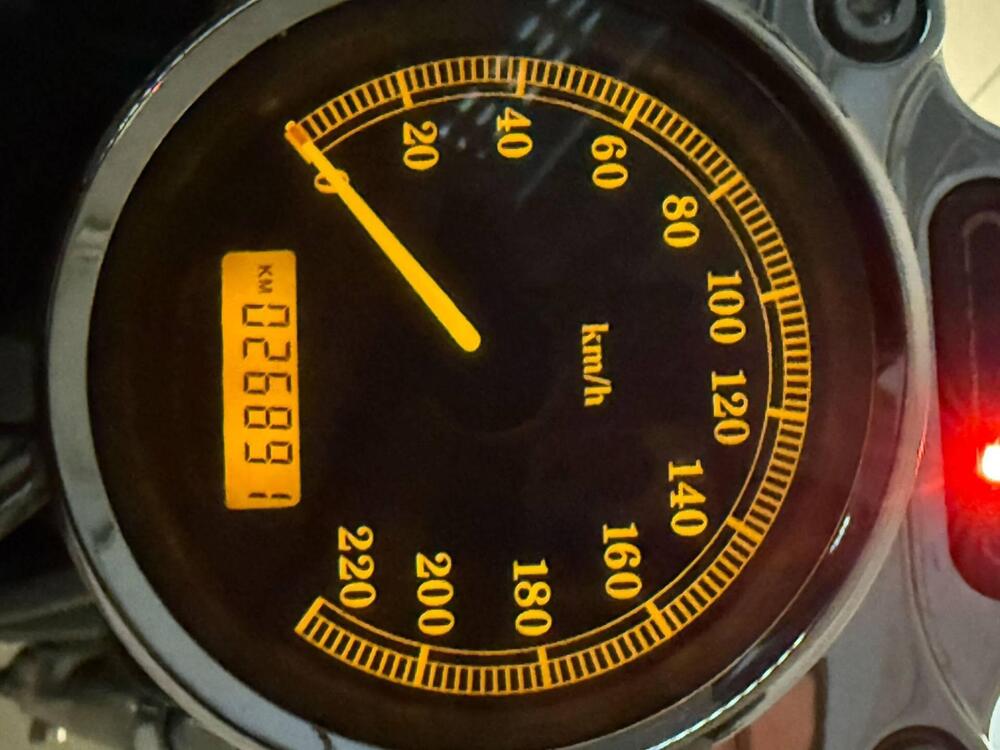 Harley-Davidson 883 Low (2006 - 07) - XL 883L (7)