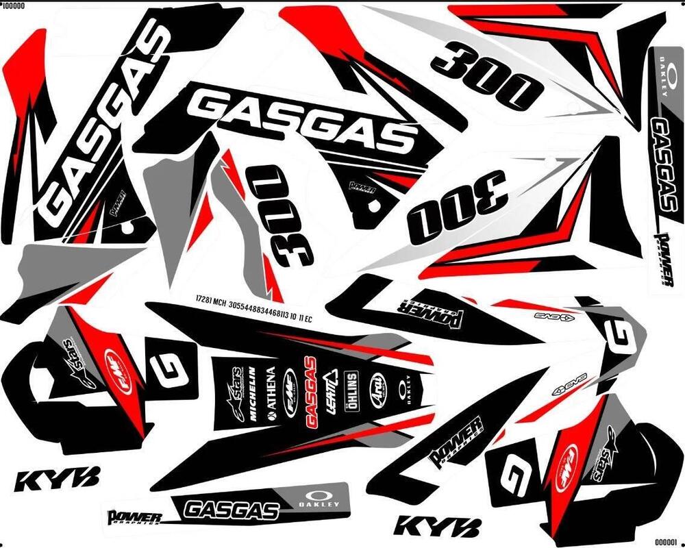 GASGAS EC 300 Standard (2011-12) (12)