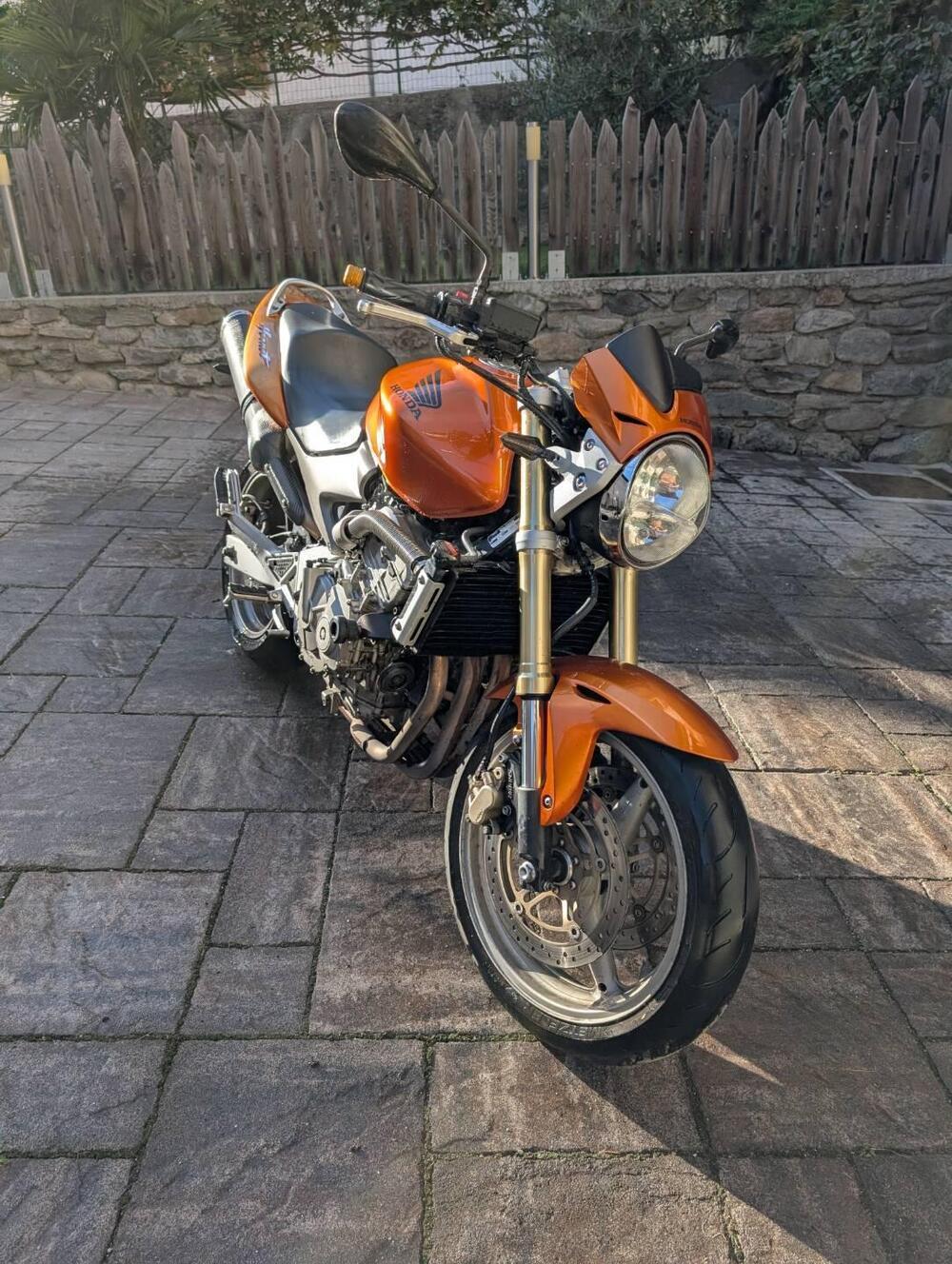 Honda Hornet 600 (2005 - 06) (2)