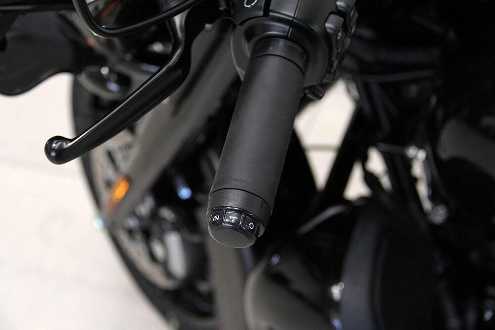 Harley-Davidson Ultra Limited (2022 - 25) (19)