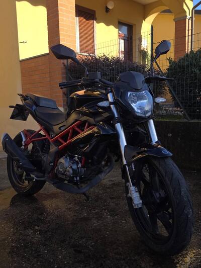 Benelli BN 125 (2021 - 25) usata