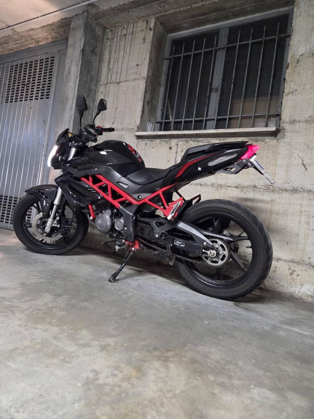 Benelli BN 125 (2021 - 25) (3)