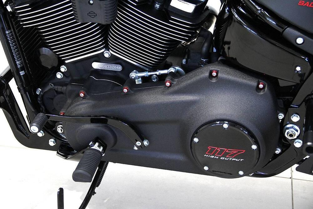 Harley-Davidson Low Rider S (2025 - 26) (13)